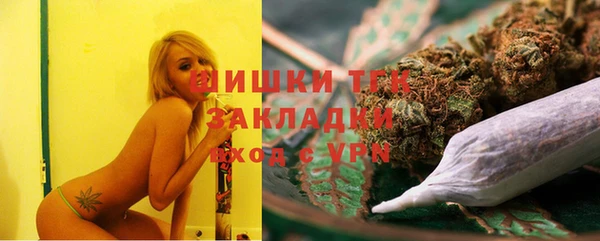 гидра Бронницы