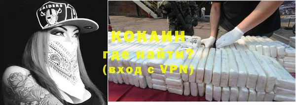 стаф Бородино