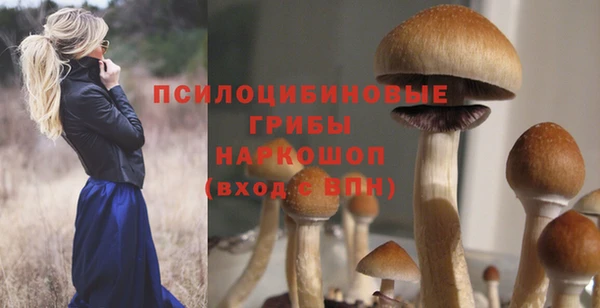 стаф Бородино