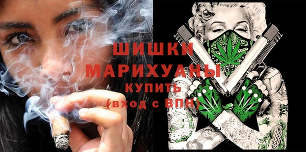гидра Бронницы