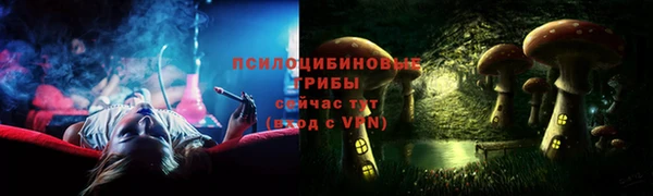 стаф Бородино