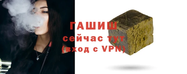 стаф Бородино