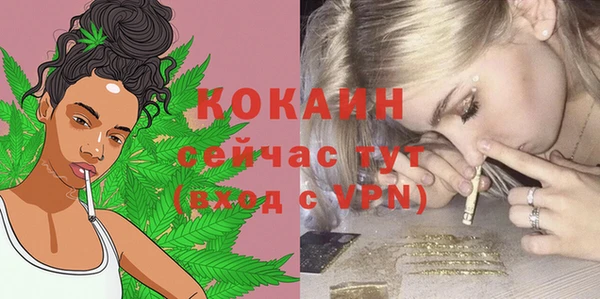 стаф Бородино