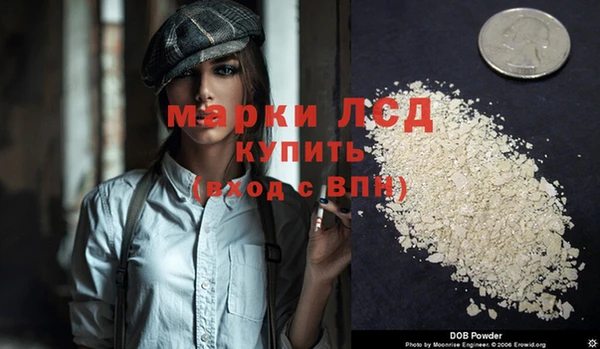 стаф Бородино