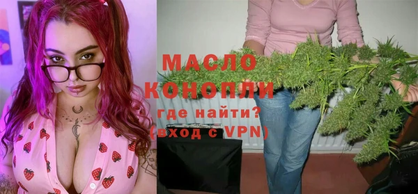 стаф Бородино