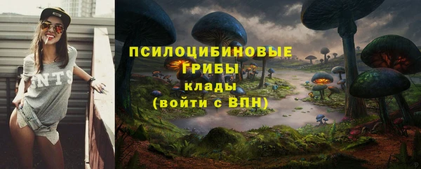 гидра Бронницы