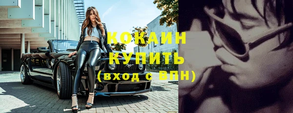 стаф Бородино