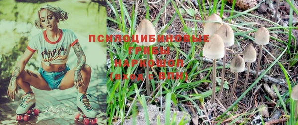 a pvp Бугульма