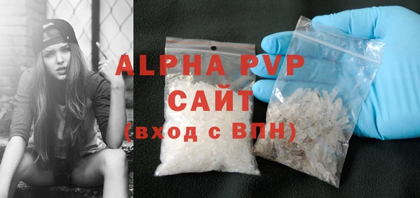 стаф Бородино